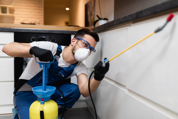Best Pest Inspection Near Me  in Beggs, OK