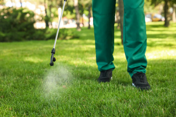 Best Affordable Pest Control Services  in Beggs, OK