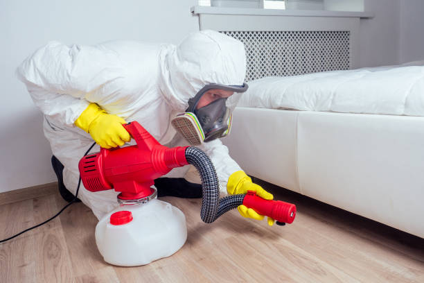 Best Wasp Removal Services  in Beggs, OK