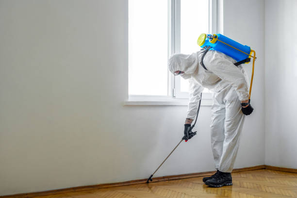 Best Pest Inspection Near Me  in Beggs, OK
