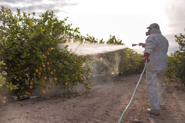 Best Residential Pest Control  in Beggs, OK